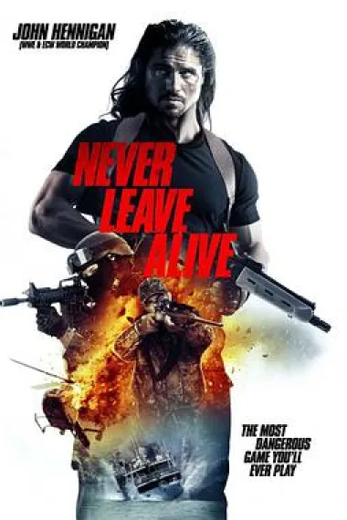 Similar Movie Cover