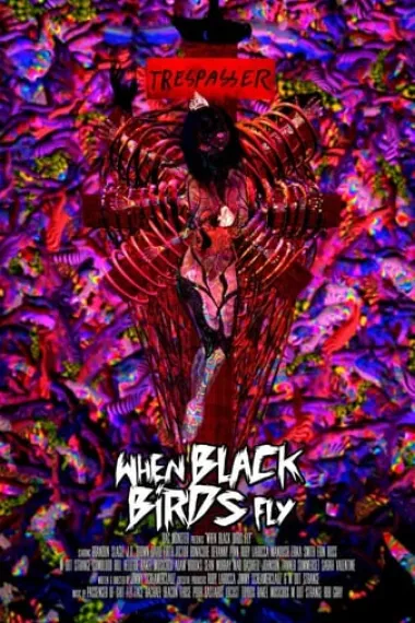When Black Birds Fly 封面