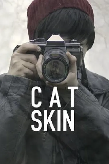 Similar Movie Cover