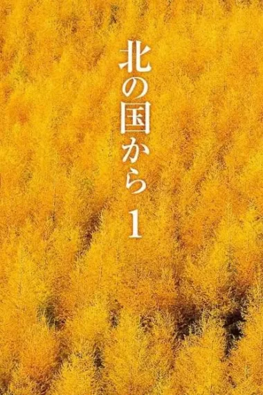 北国之恋 封面