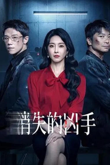 消失的凶手 封面