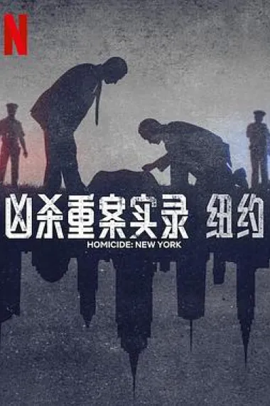 凶杀重案实录：纽约 封面