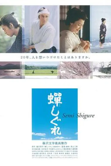 蝉时雨 封面