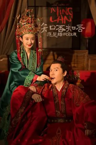知否知否应是绿肥红瘦 封面