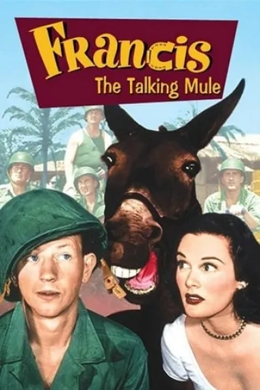 Similar Movie Cover