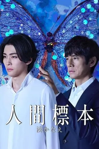人类标本 封面