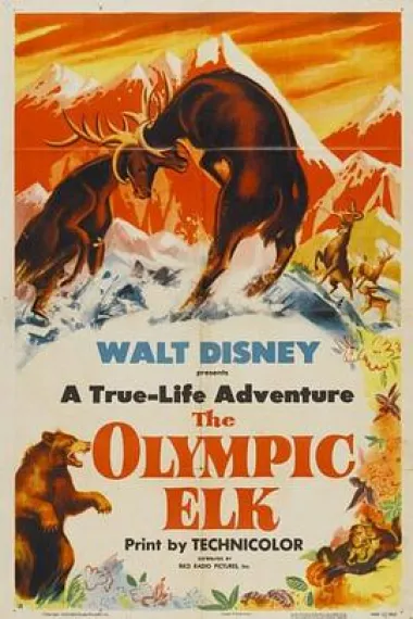 The Olympic Elk 封面