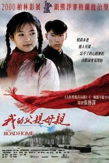 Similar Movie Cover