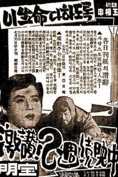 直到生命尽头 封面