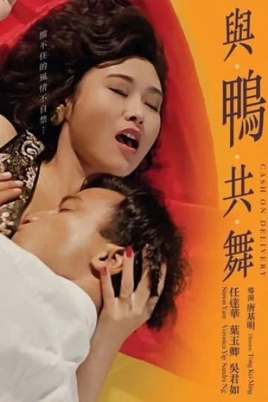 与鸭共舞 封面