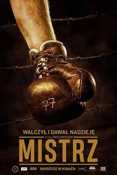 Similar Movie Cover