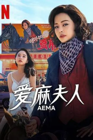 爱麻夫人热映中 封面
