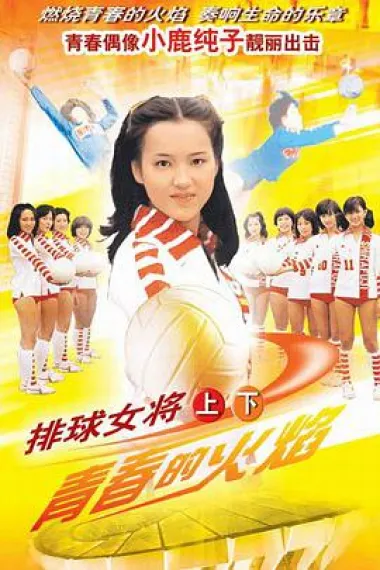 排球女将 封面