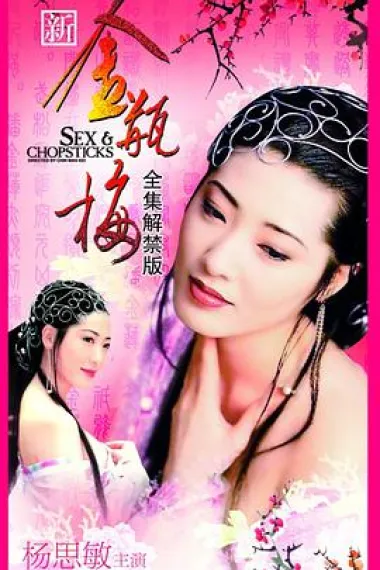 新金瓶梅 封面