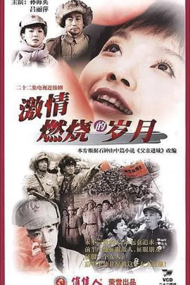 激情燃烧的岁月 封面