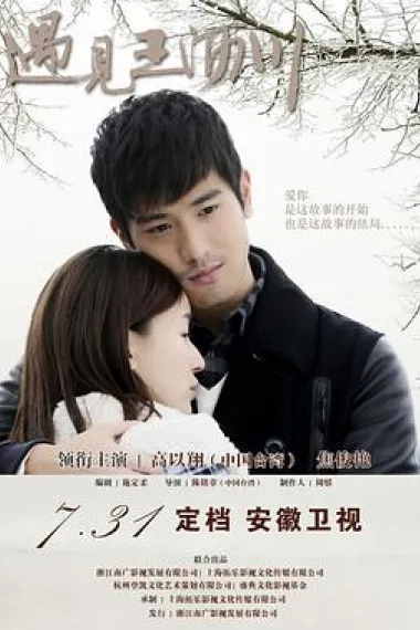 Similar TV Cover