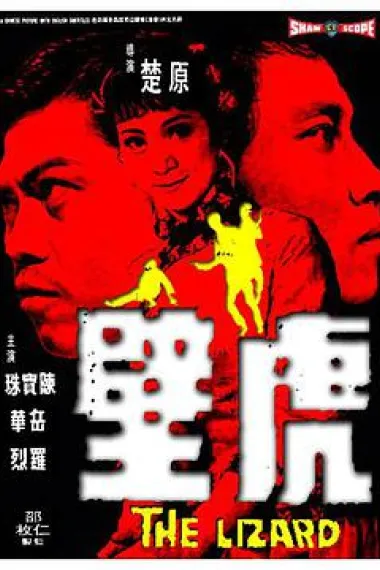 壁虎 封面