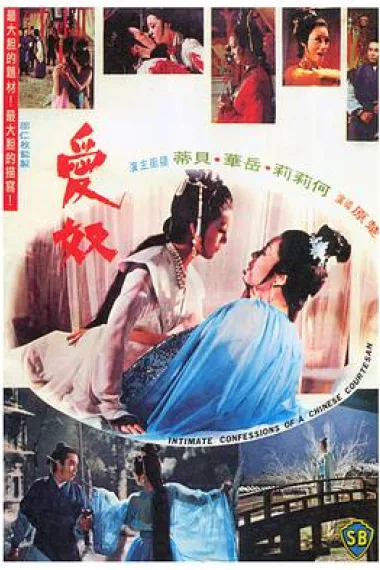 爱奴 封面