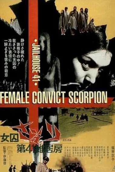 第41号女囚房 封面