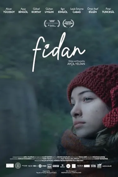 Fidan 封面