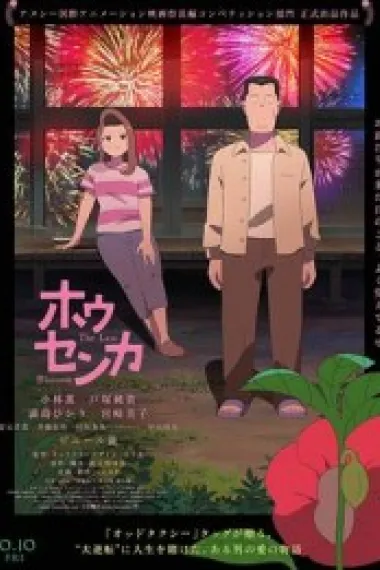 凤仙花 封面