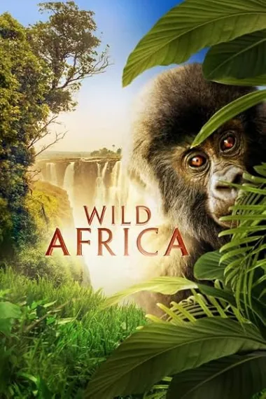 Similar Movie Cover