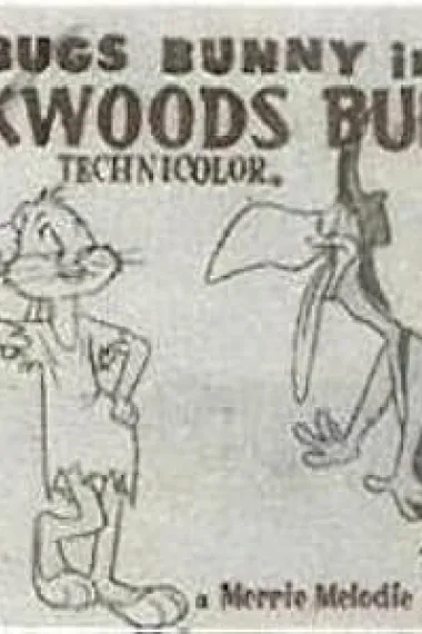 Backwoods Bunny 封面