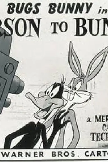 Person to Bunny 封面