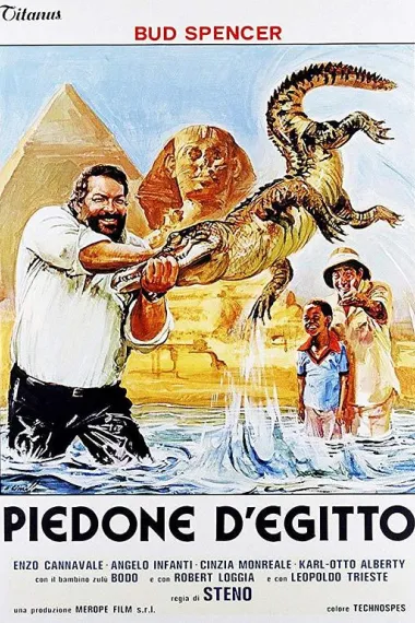 Similar Movie Cover
