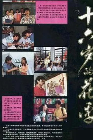 十六岁的花季 封面