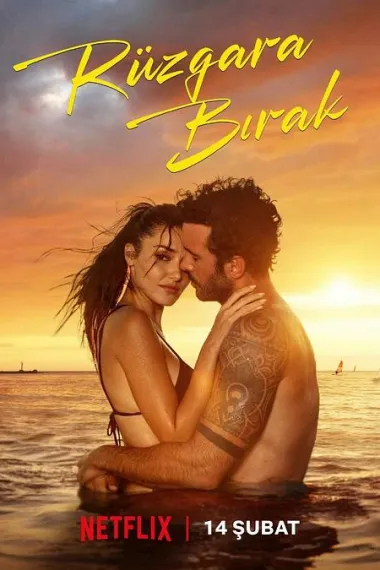 Similar Movie Cover