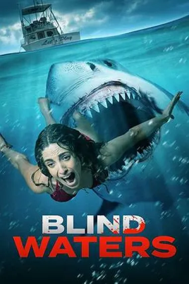 Similar Movie Cover