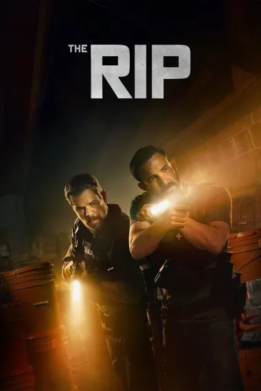 Similar Movie Cover