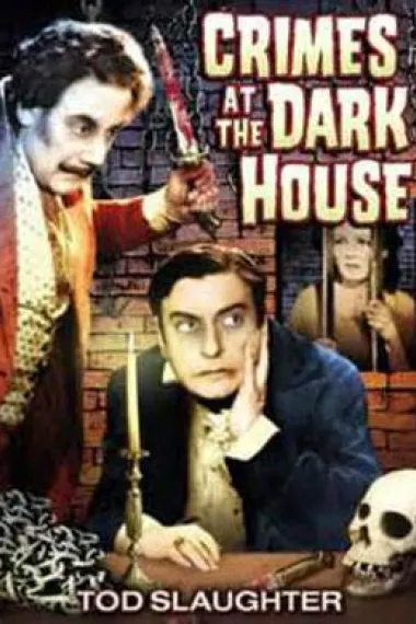 Crimes at the Dark House 封面