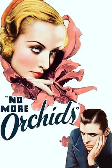 No More Orchids 封面