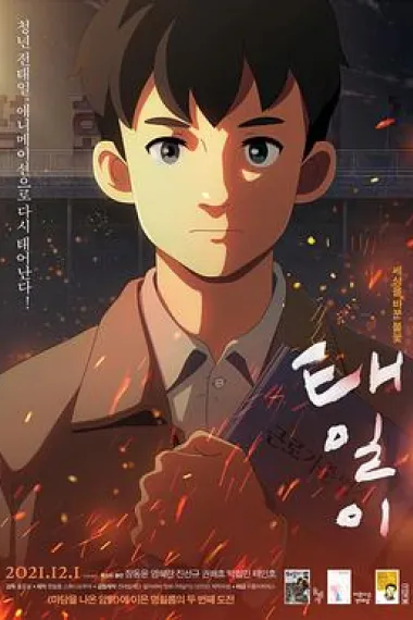 泰壹 封面