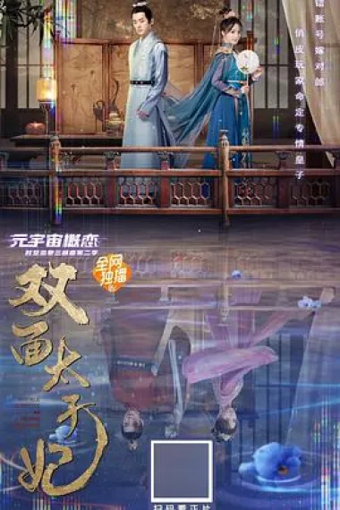 双面太子妃 封面