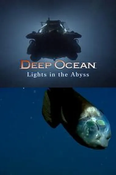 Similar Movie Cover