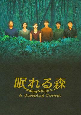 沉睡的森林 封面