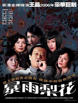 暴雨梨花 封面