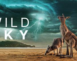 Wild Sky Season 1 封面