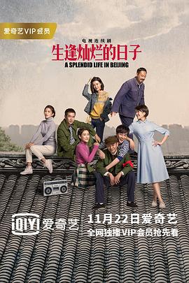 生逢灿烂的日子 封面