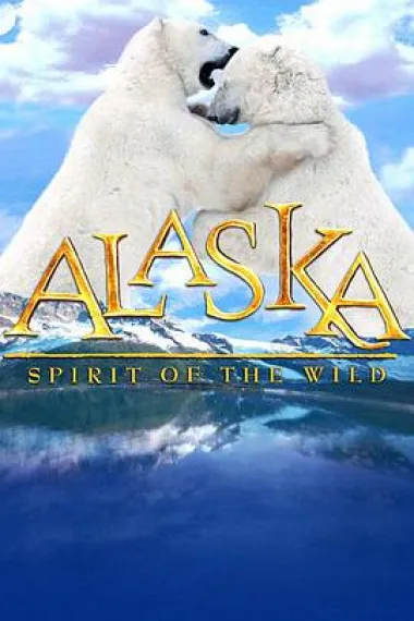 Similar Movie Cover