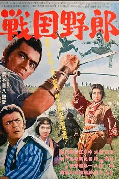 战国野郎 封面