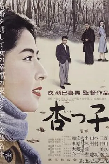 杏子 封面