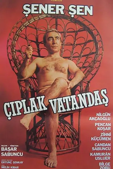 Similar Movie Cover