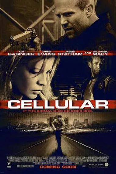 Similar Movie Cover