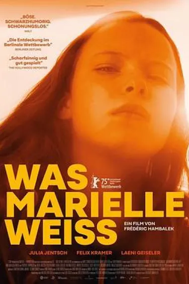 Similar Movie Cover