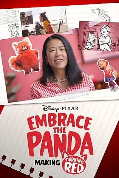 拥抱小熊猫：青春变形记背后的故事 封面