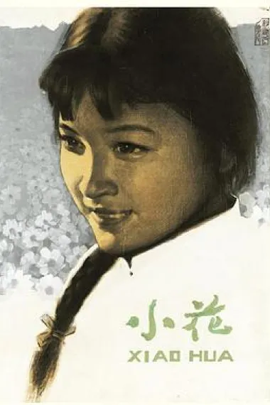 小花 封面